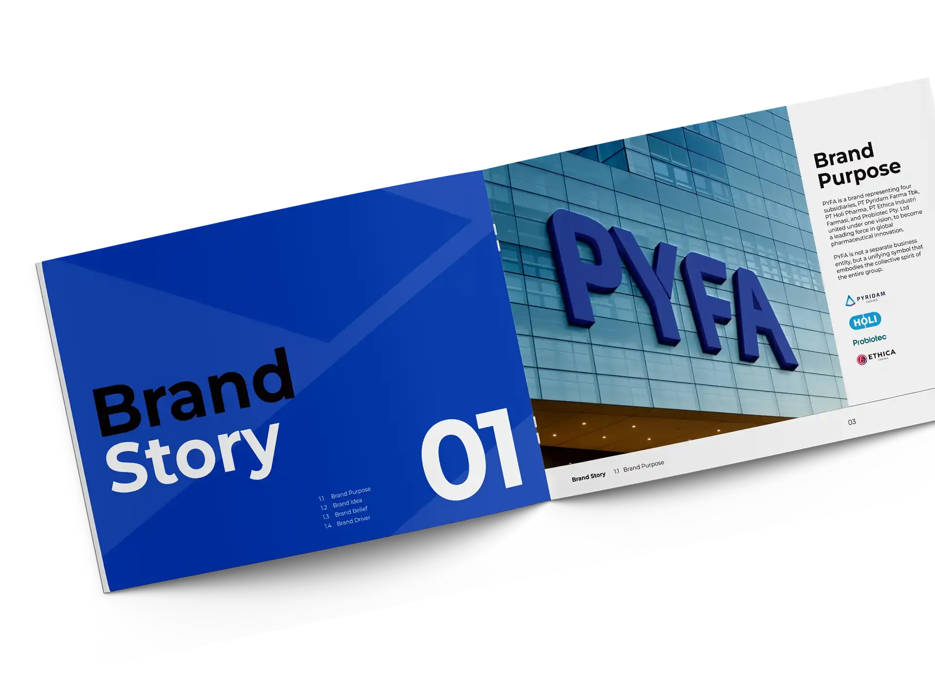 Pyfa Identity Brand Story and Purpose