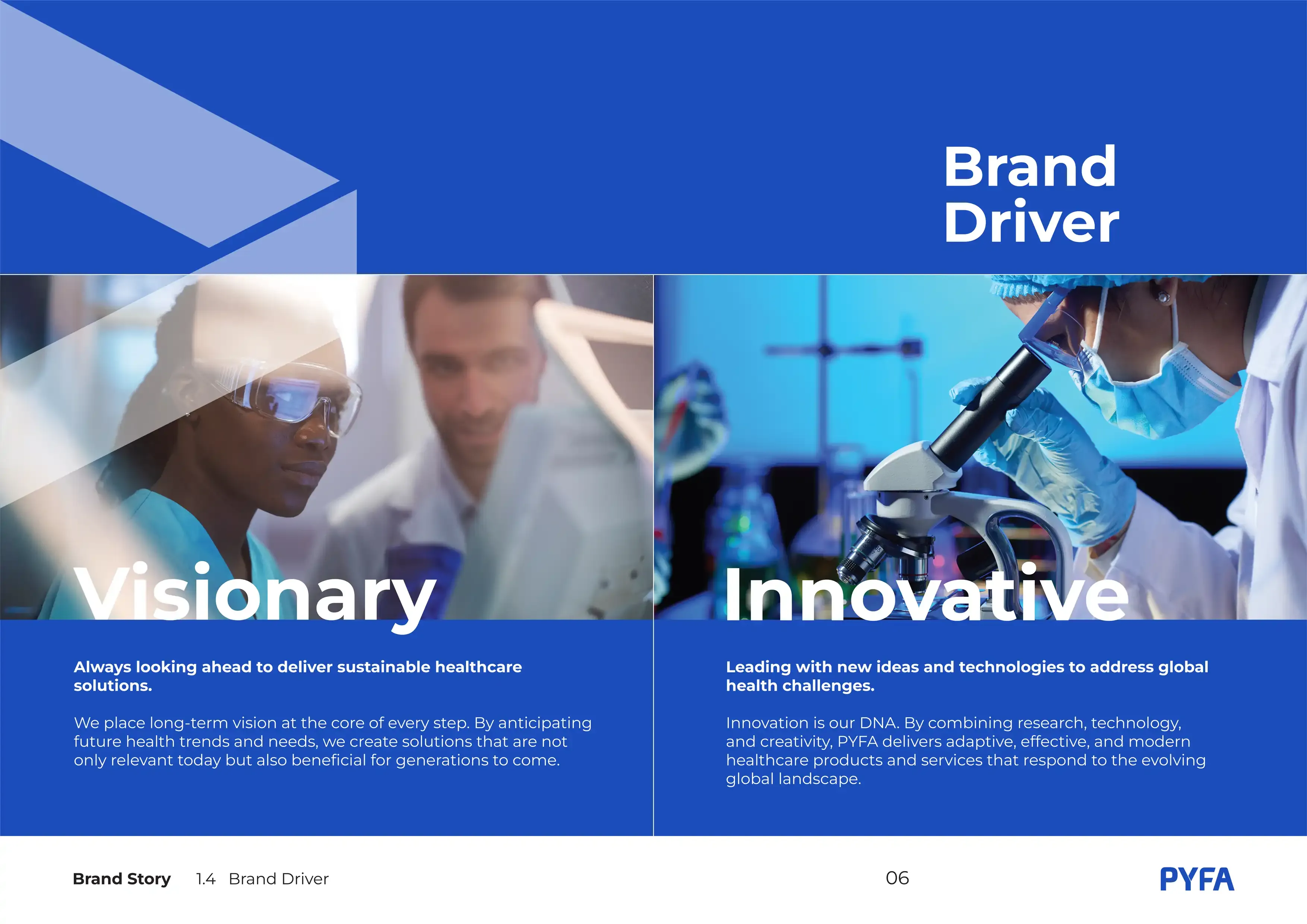 Pyfa Identity Brand Drivers Visionary and Innovation