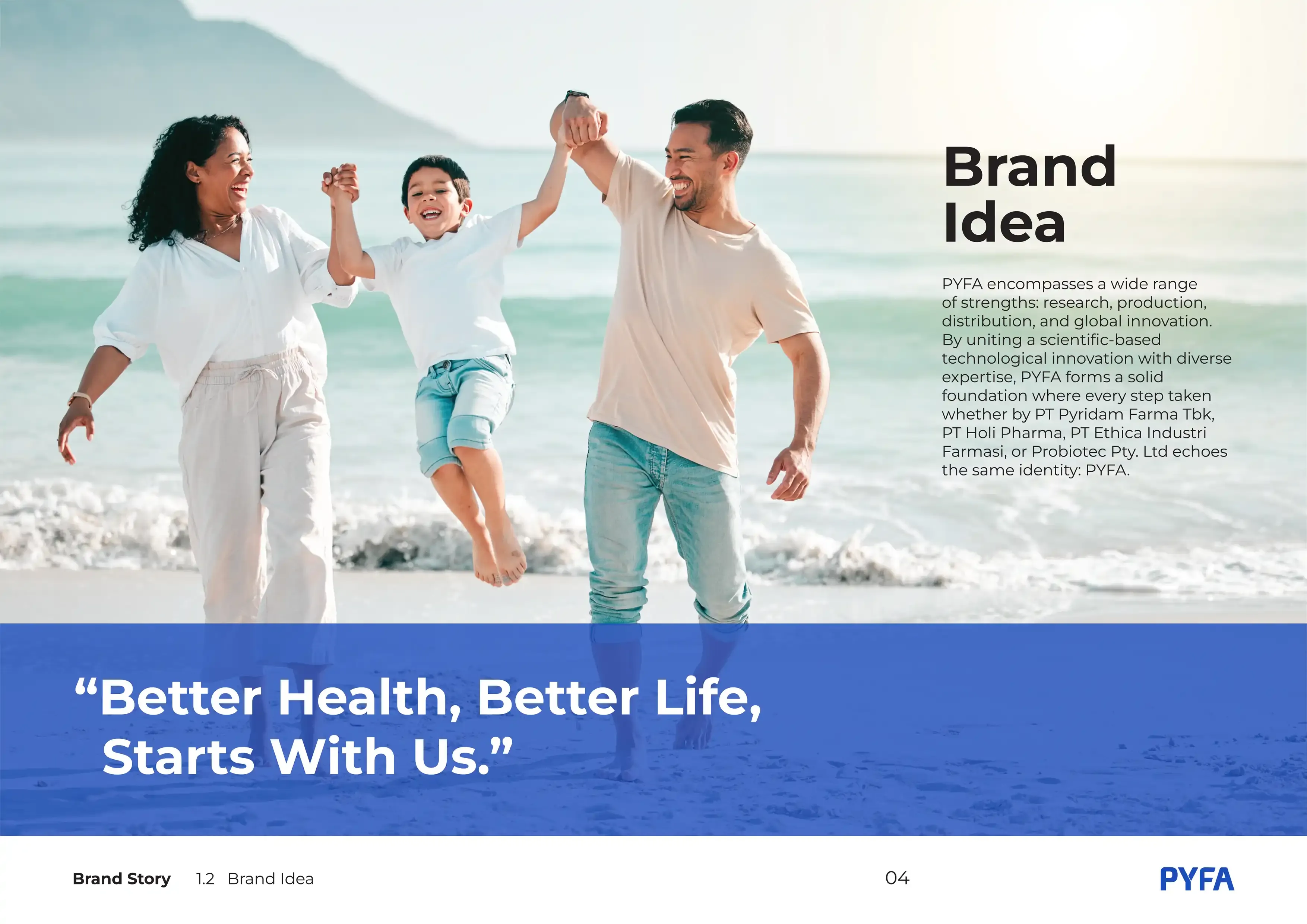 Pyfa Identity Brand Idea