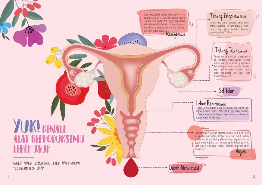 Betadine Red Journal Reproductive organ graphic
