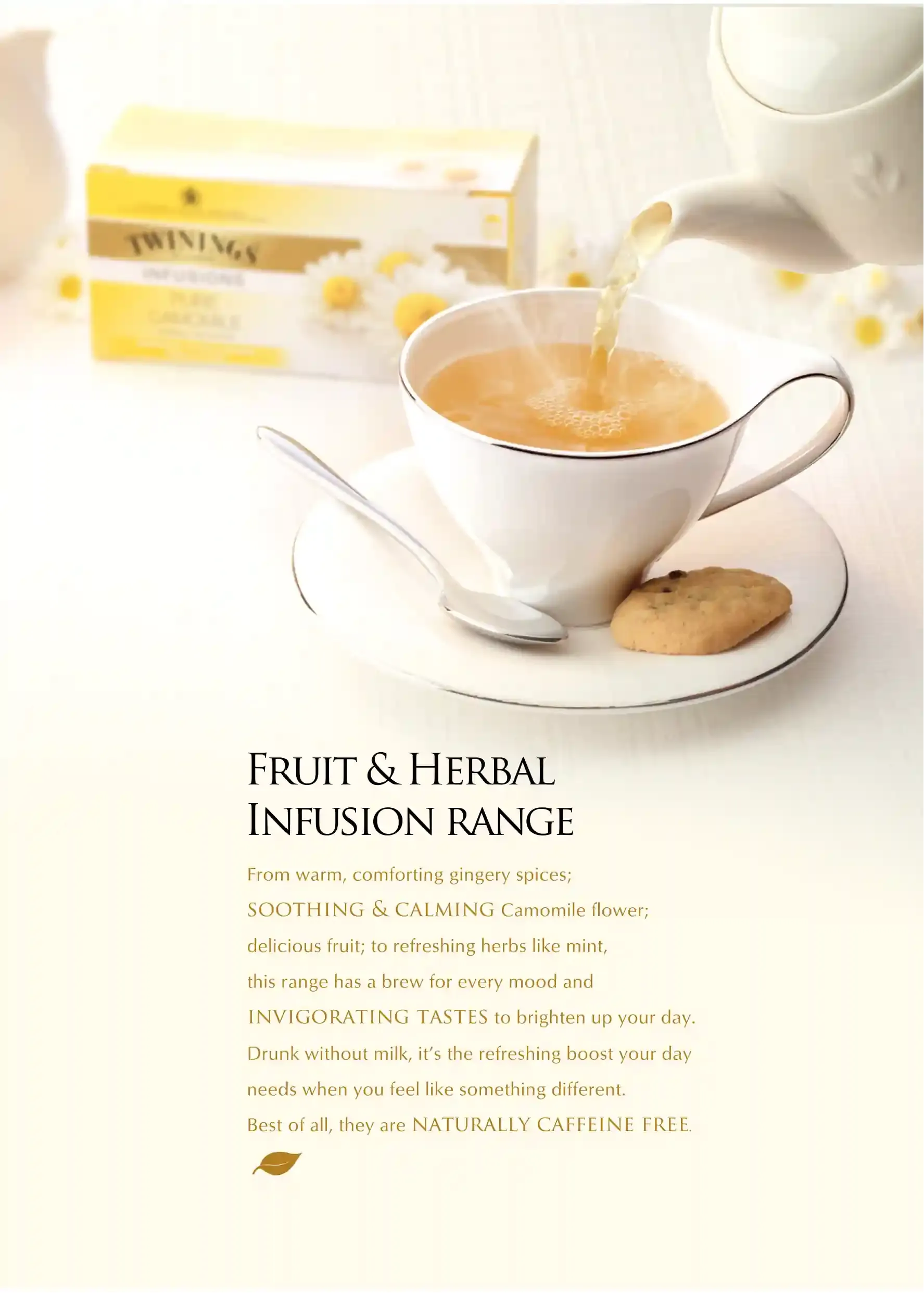 Twinings Planner Fruit & Herbal Infusion Range Divider