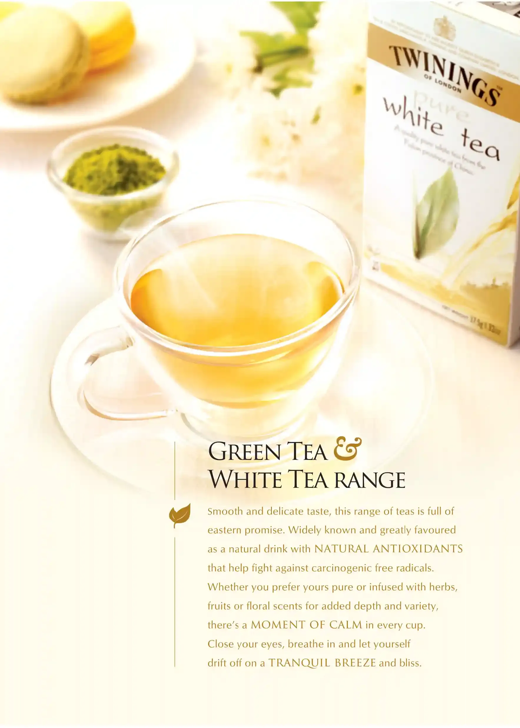 Twinings Planner Green Tea & White Tea Infusion Range Divider