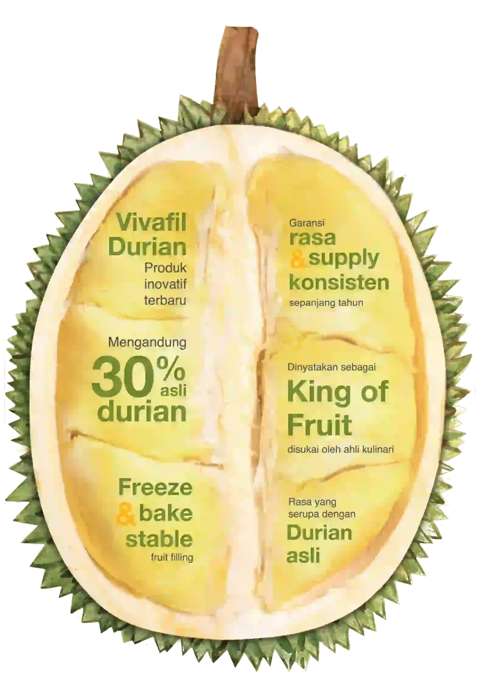 Vivafil Durian Layout