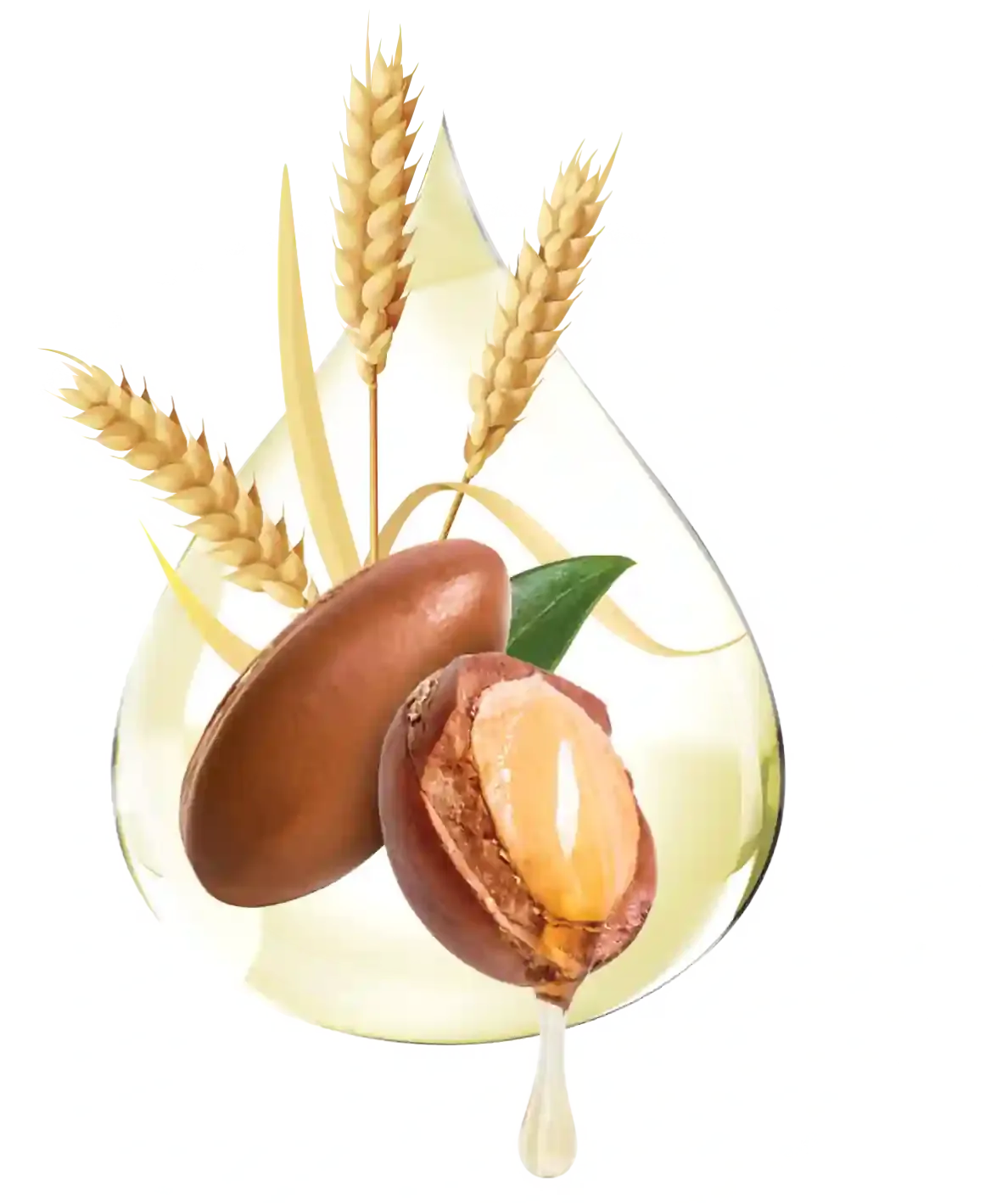 Excello Extracts