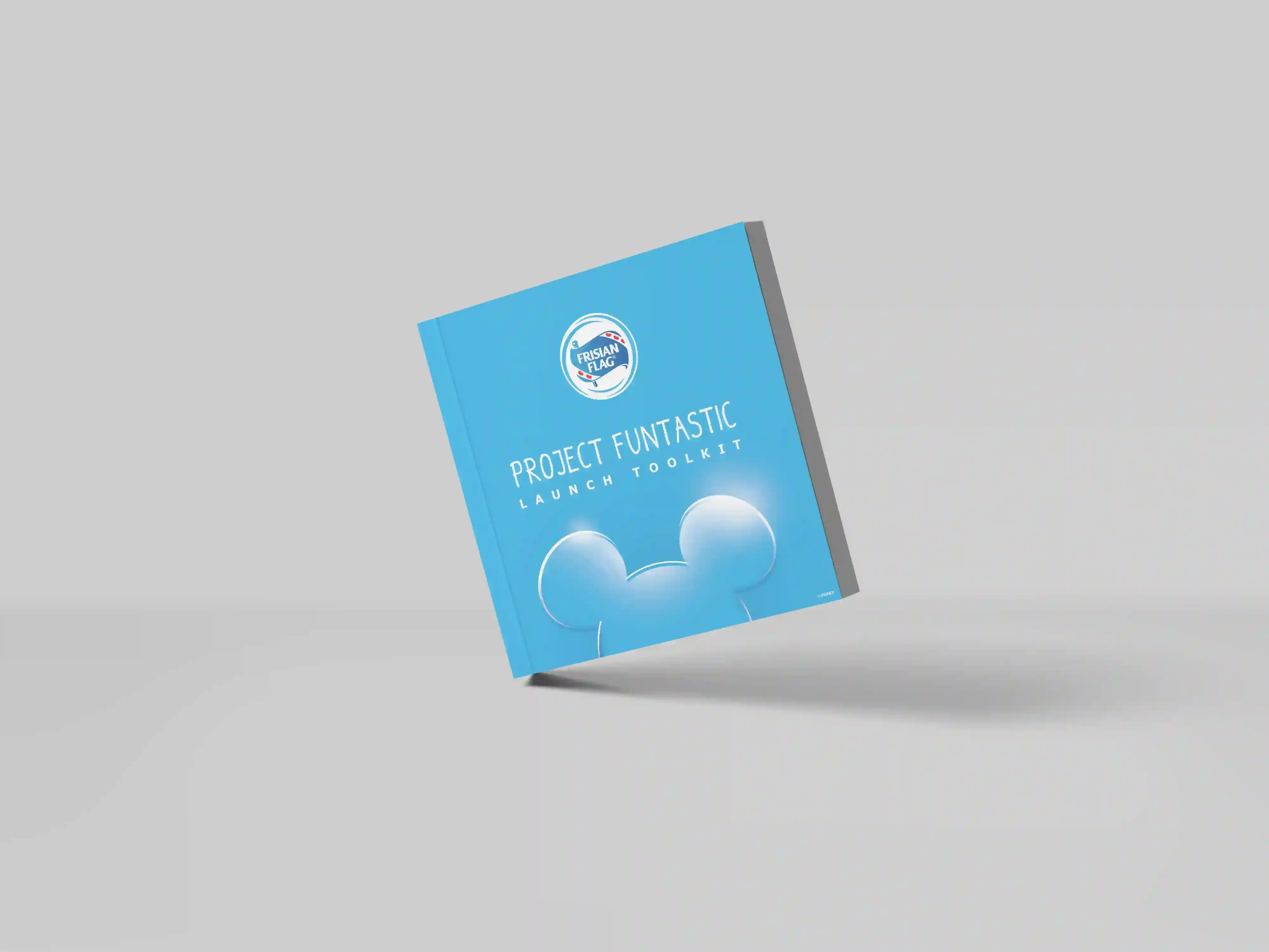 Frisian Flag Disney Brand Guidelines