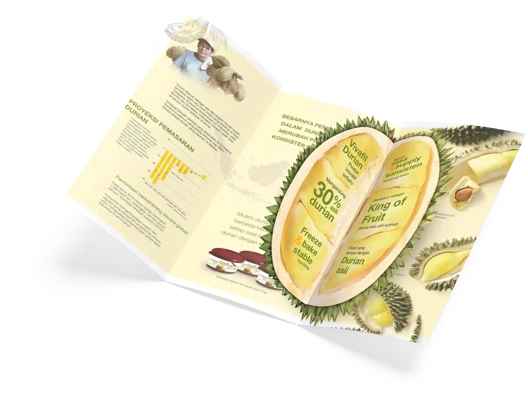 Vivafil Brochure Content Mock-up
