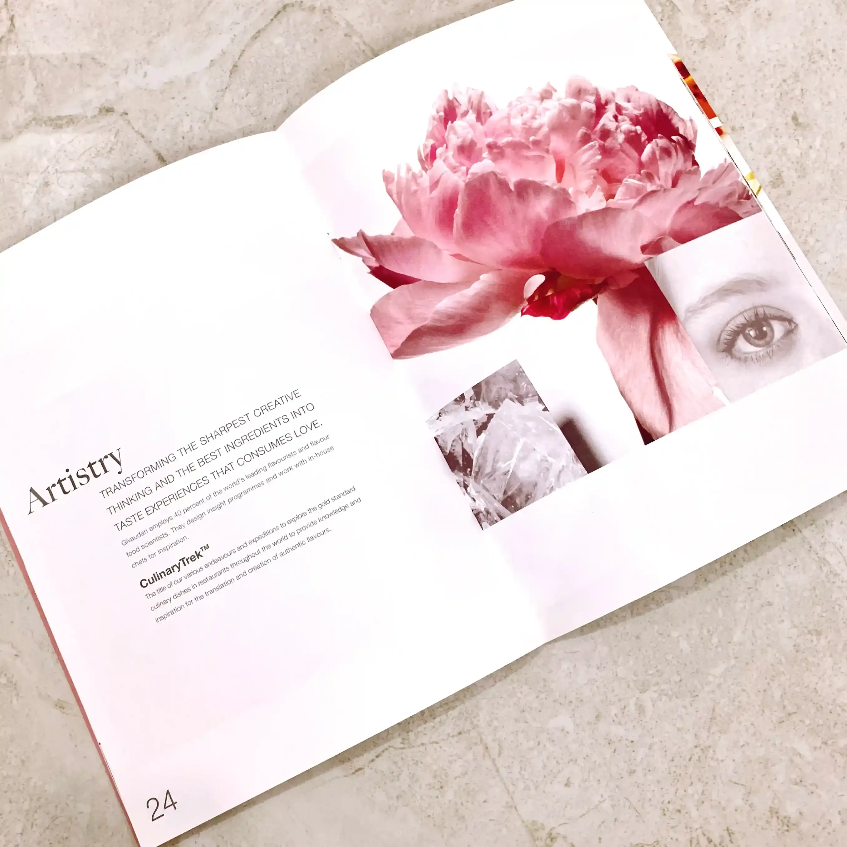 Givaudan Company Profile real life page preview 1