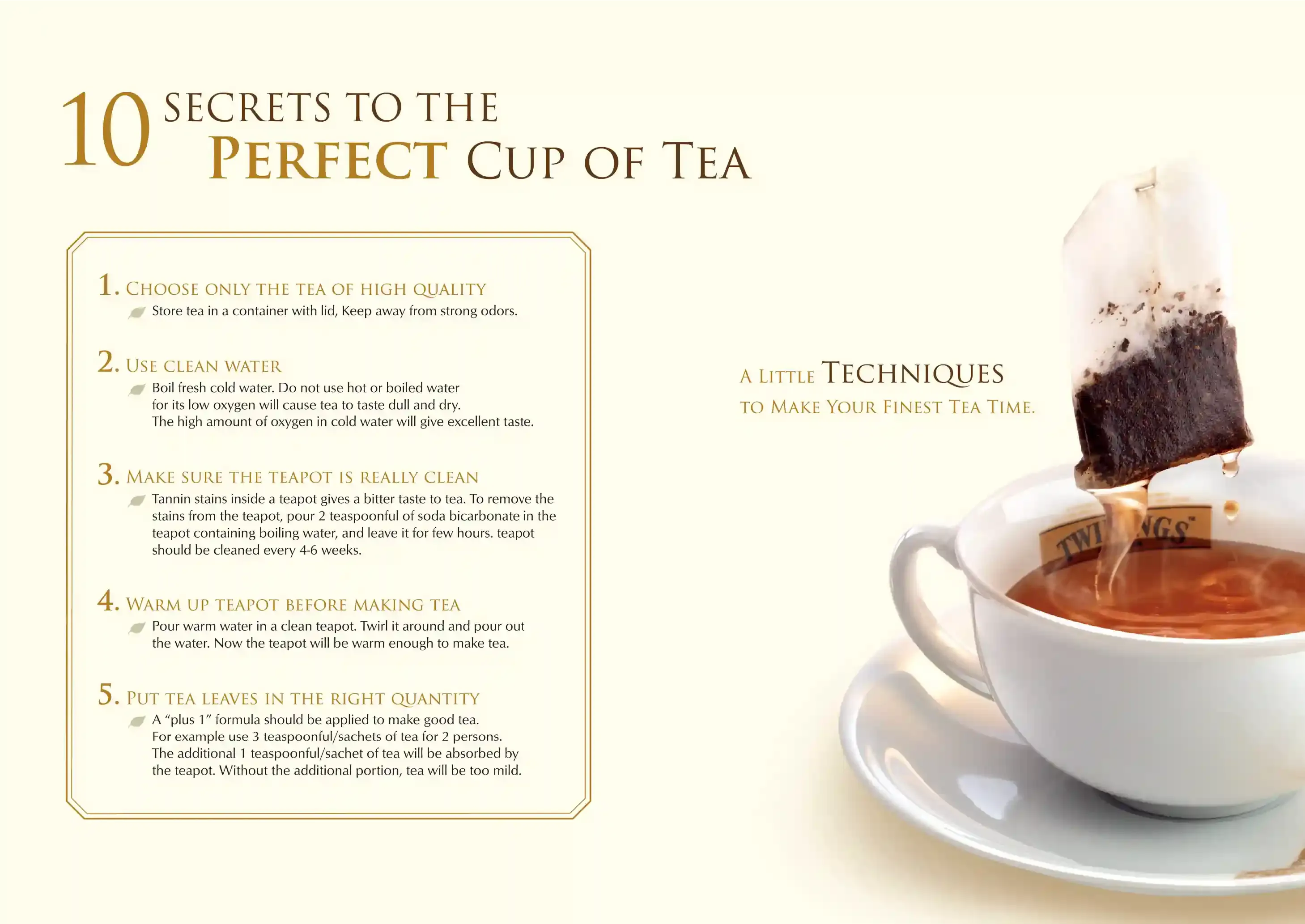 Twinings Planner Top 10 Secrets to the Perfect Cup of Tea Page